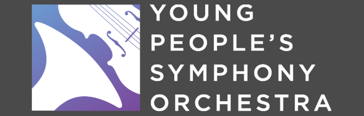 Young People's Symphony Orchestra Benefit Concert