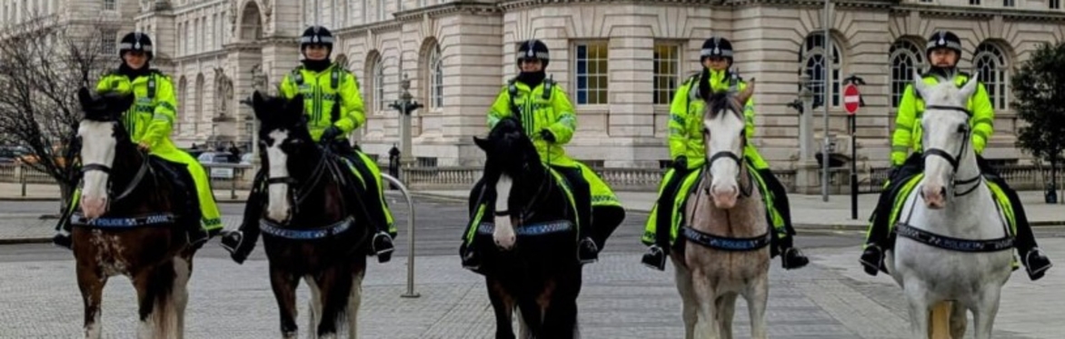 Behind the Scenes with Merseyside Mounted Police