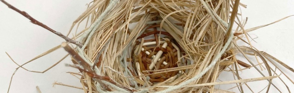 Workshop: Experimental basketry and nest making