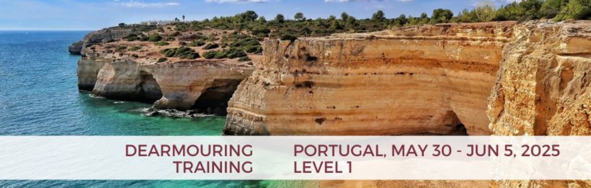 Dearmouring Training Portugal The Melting Method Sunny Ju