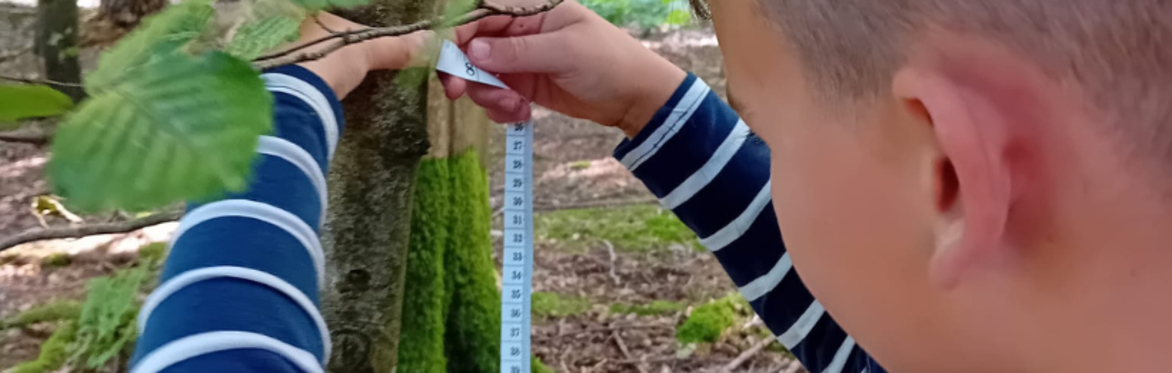 Introduction to Engaging Children in Permaculture