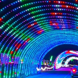 Gather Christmas Magic - Bus Trip to Grand Rapids
