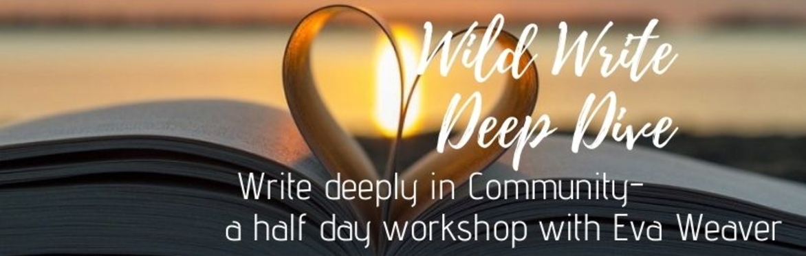 WILD WRITE DEEP DIVE!