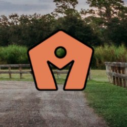 Bluegrass, Barbecue, and Children’s Refuge
