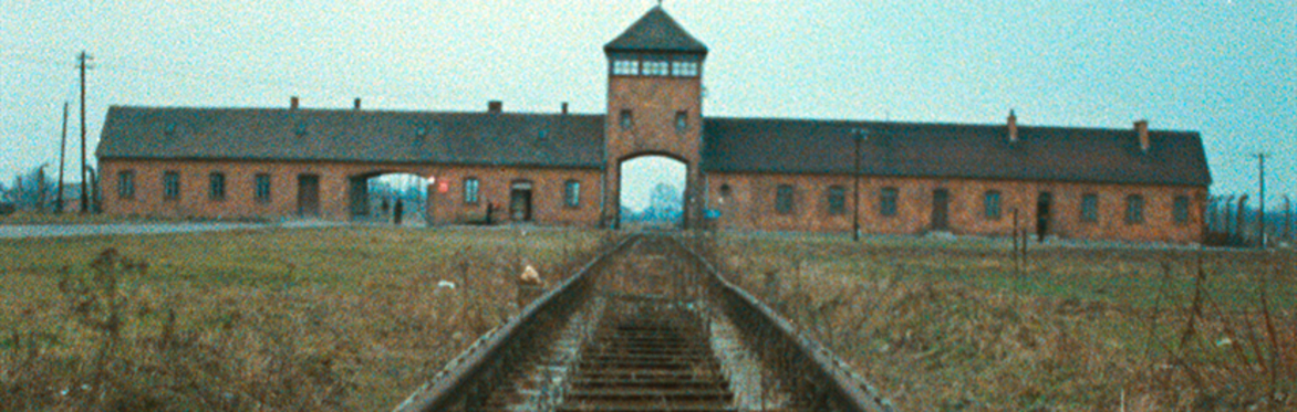 A still image from the film.