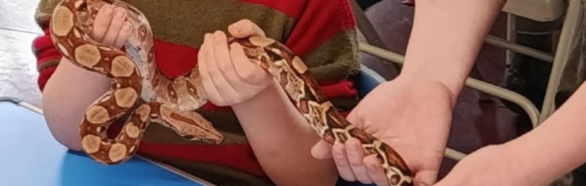 Zoology and Love Science home education collaboration!