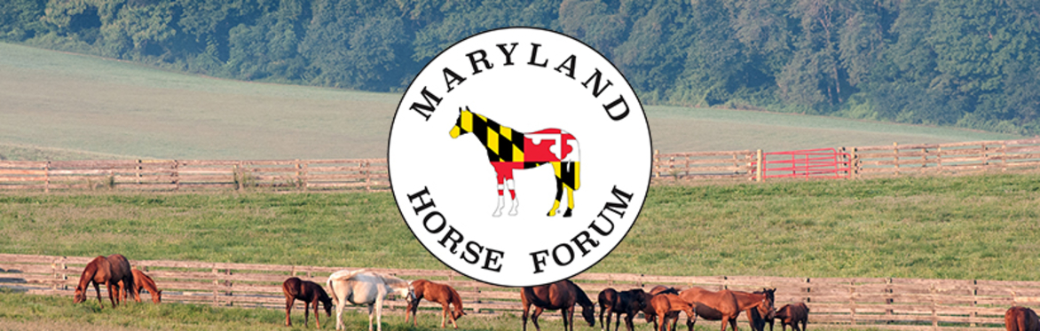 Maryland Horse Forum