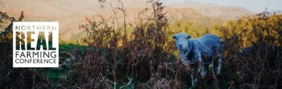 Moving to more regenerative food and farming systems in the North of England