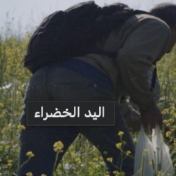 Palestine Cinema Day