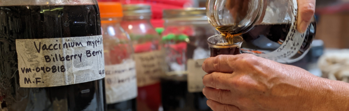 online herbal medicine course