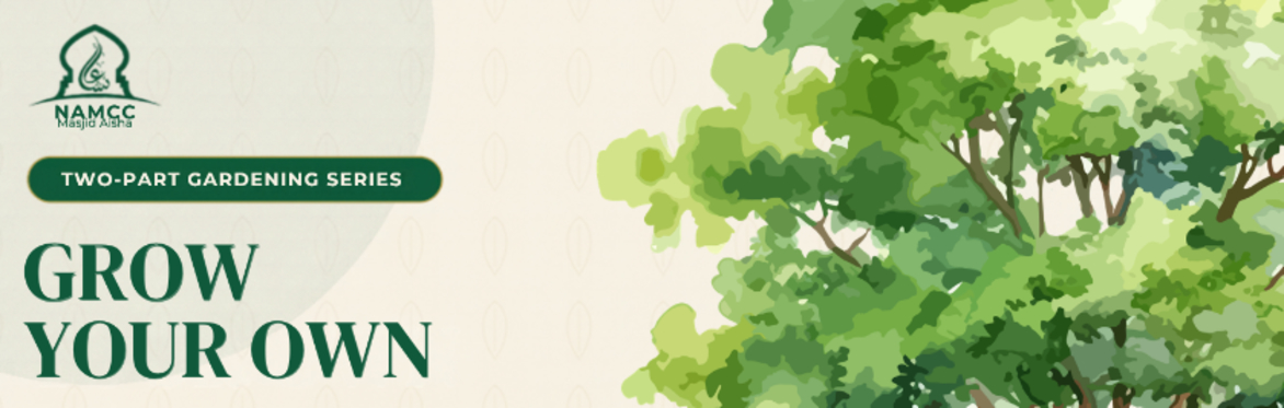 Grow Your Own: Central Texas Gardening 101