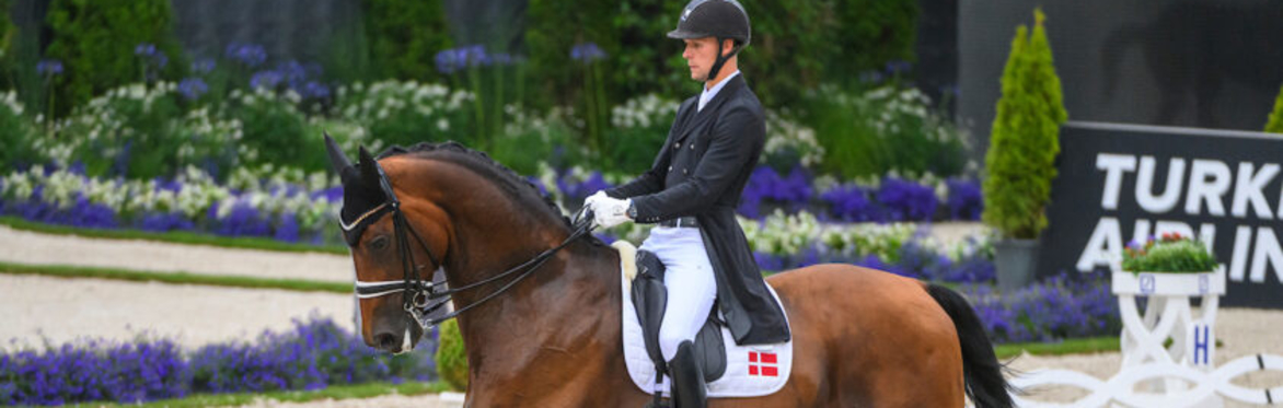 Daniel Bachmann Andersen - Young Horse to Grand Prix Symposium