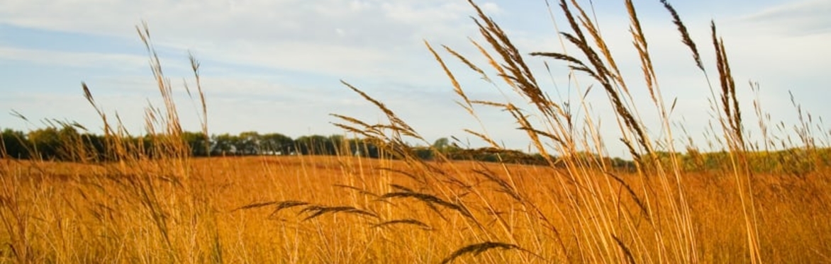 NPAT Fayette Prairie Chapter Social