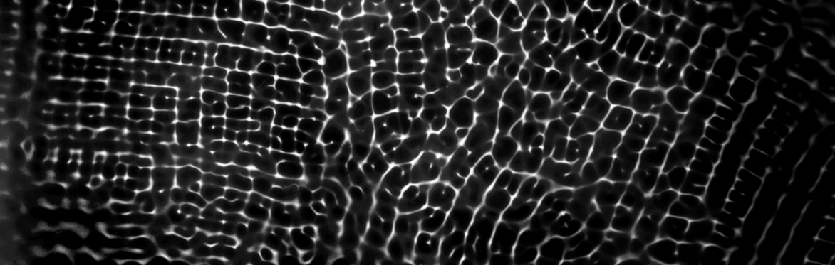 T09. Watergrams with Francisco Macfarlane