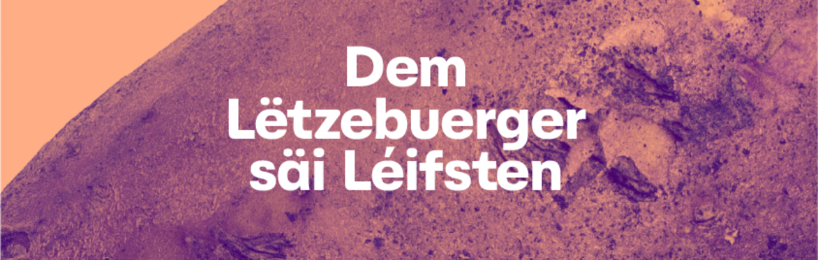 "DEM LËTZEBUERGER SÄI LÉIFSTEN - ALLES RONDEREM D’GROMPER"