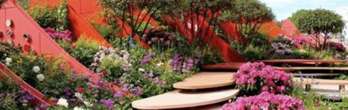 Helping RHS Chelsea Flower Show gardens become more sustainable - a talk by Liz Nicholson