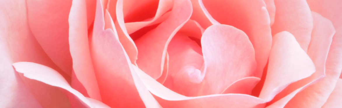 Mothers Sanctuary - A Day of Renewal for all Ojai Mothers *