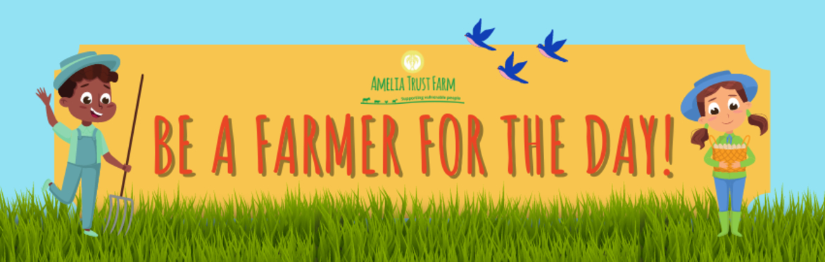 Be a Farmer for the Day during the Summer Holidays 2023!