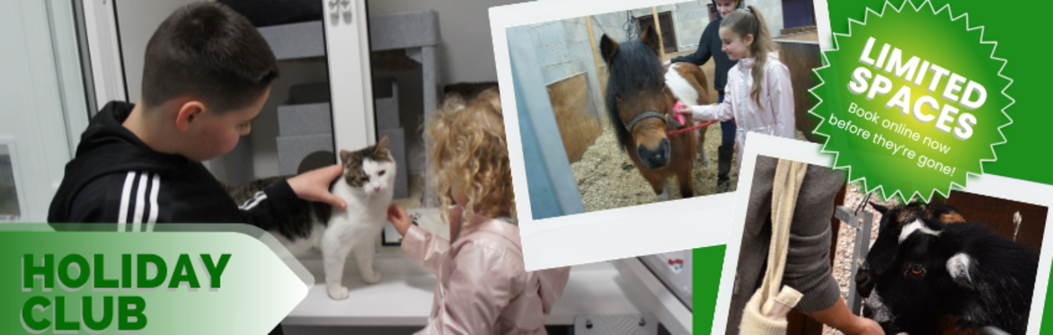 Woodlands Holiday Club (SANCTUARY)
