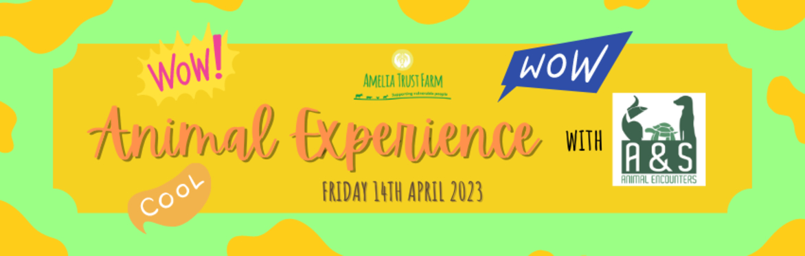 Unique Animal Experience with A&S Animal Encounters
