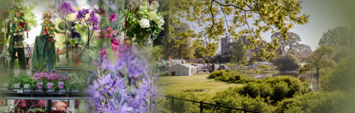 Tobys garden festival logo surrounded by bright coloured flowers