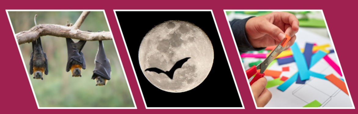 Children's activity (half term event): Boo-tiful Bats at Beckford's Tower