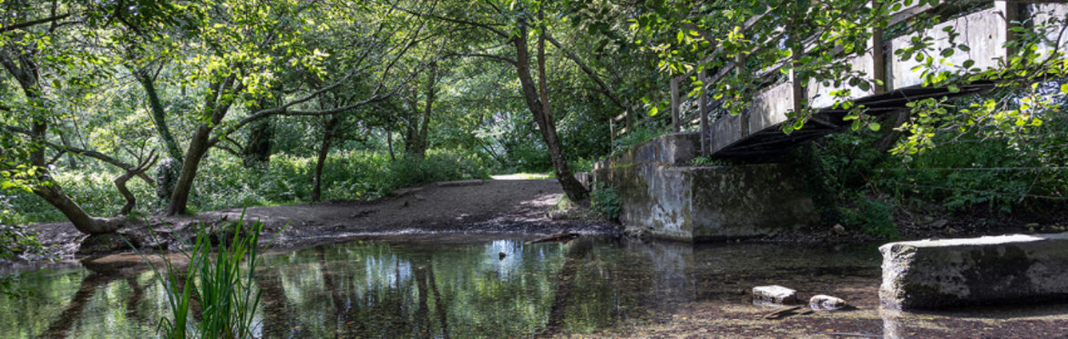 Broken Bridges