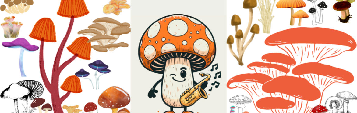 Mushrooms Music & More Festival 2025