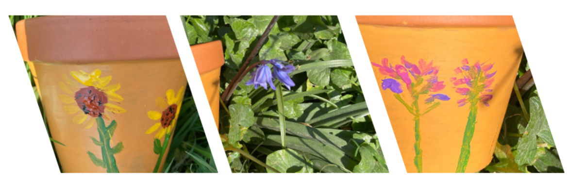 Children's activity (half term event): Decorate a pot and plant a seed
