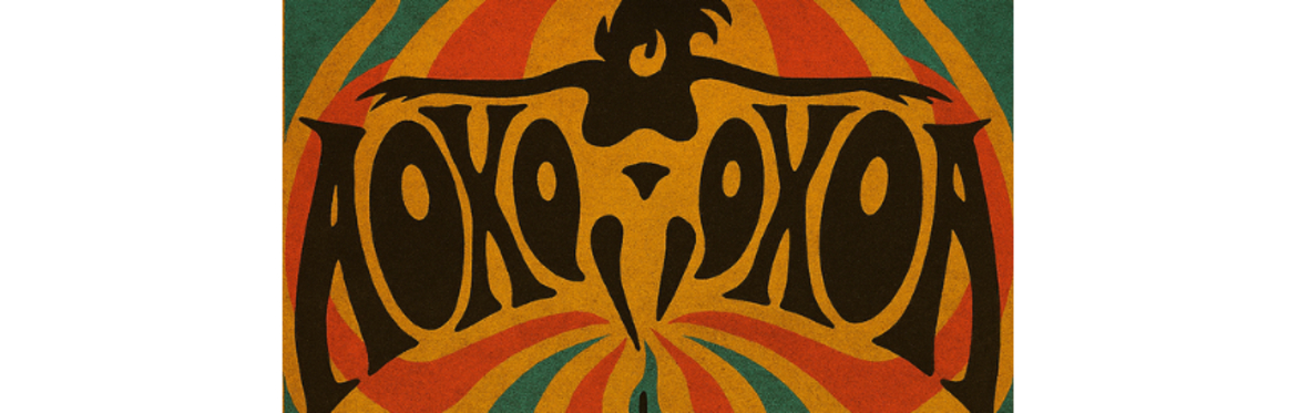 AoxoToxoA@Kulturhaus Insel (17/10/2026)