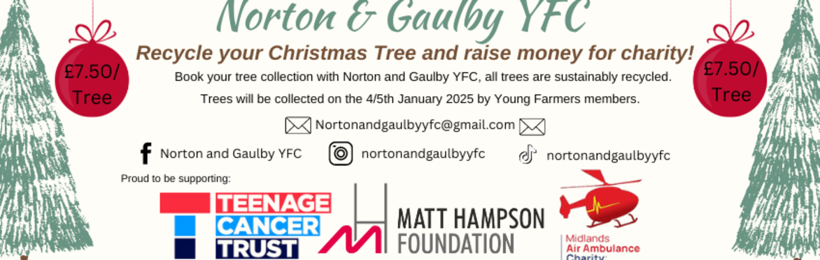 Christmas Tree Collection 2024