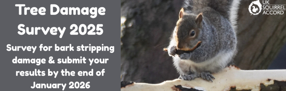 Tree Warden Training - UK Squirrel Tree Damage Survey