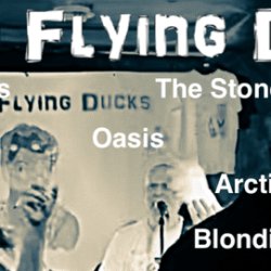 Hildas Flying Ducks