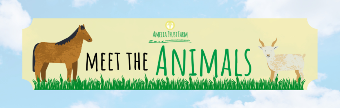 Meet the Animals during February Half Term
