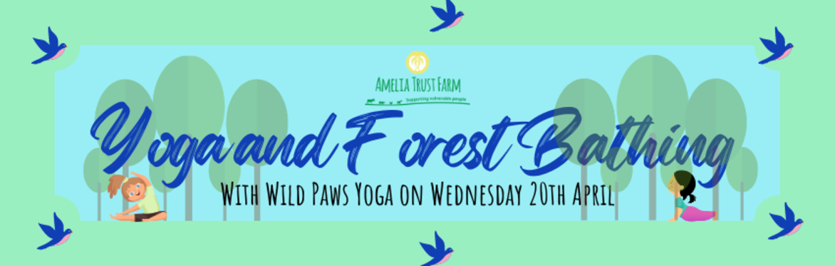 Yoga and Forest Bathing with Wild Paws Yoga