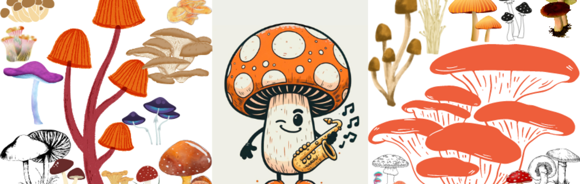 Mushrooms Music & More Festival 2024 - Speaker Series