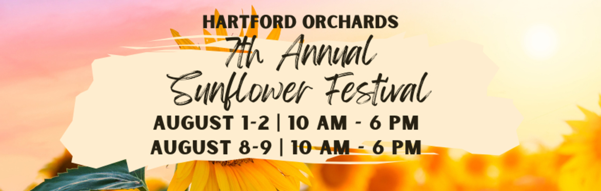 7th Annual Sunflower Festival