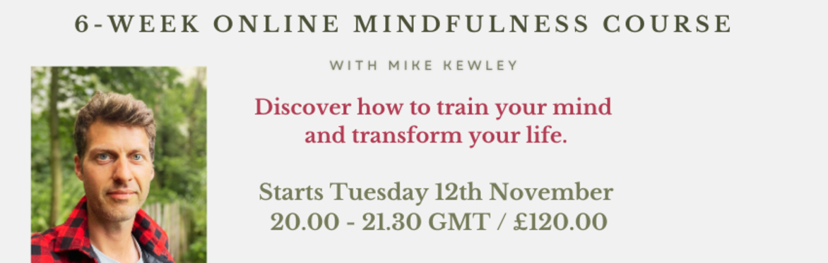 6-Week Online Mindfulness Training Course