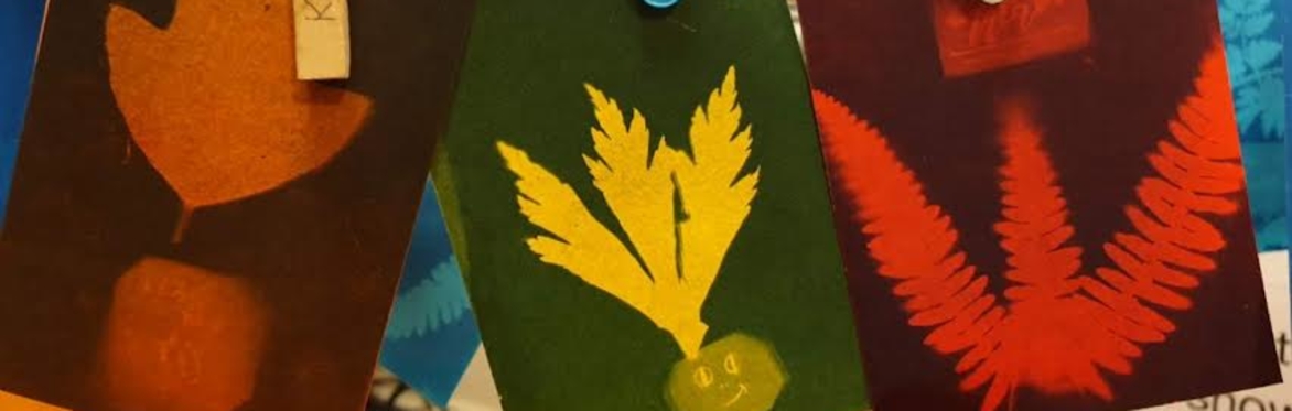 Cyanotype in colour – prints on paper