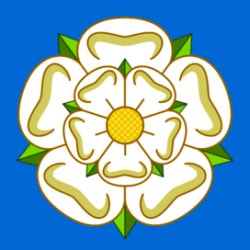 Image of a Yorkshire Rose