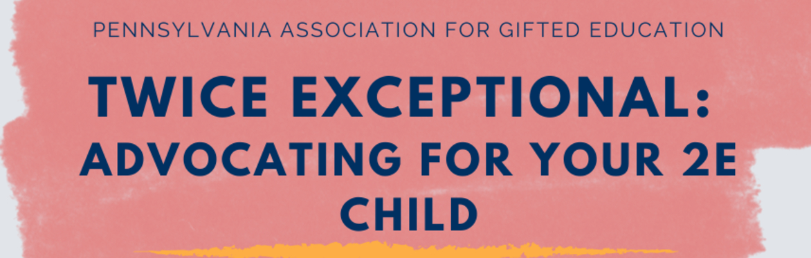 Twice Exceptional: Advocating for your 2E child
