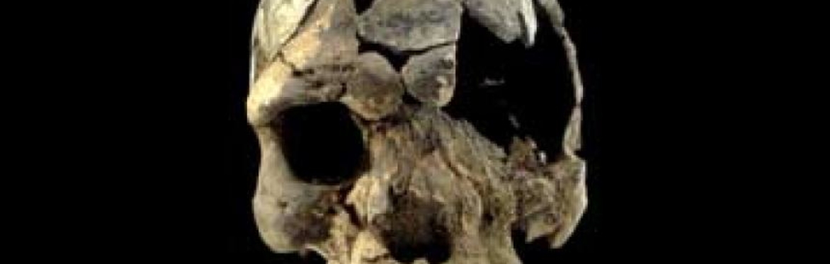 From Murder to Miscarriage – Osteoarcheology Talk by Caoimhe Ni Thoibin