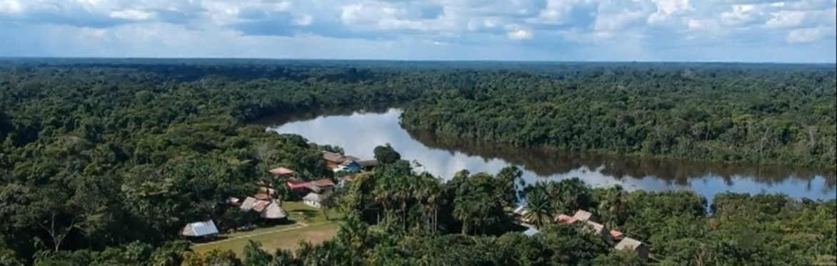 Ayahuasca Research in the Amazon: Insights from Traditional Healing and Naturalistic Research