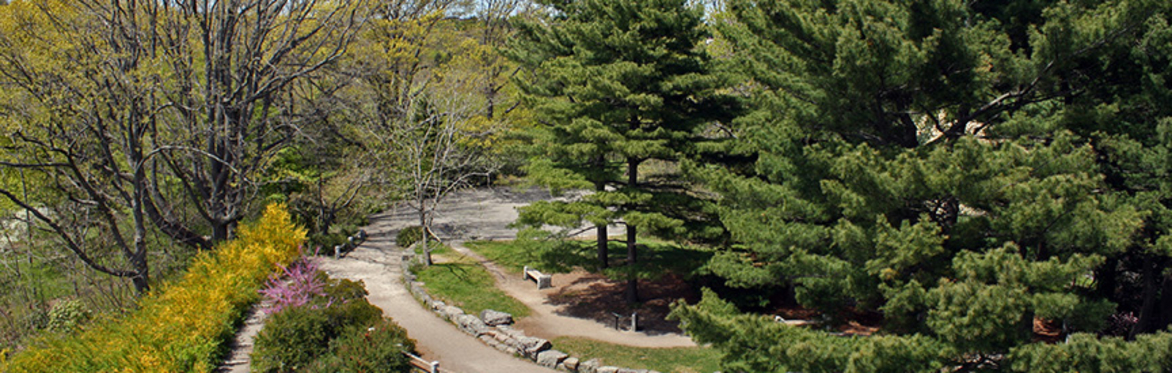 Exploring the Arnold Arboretum!