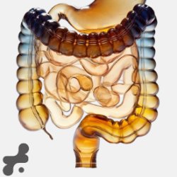 PSYCHOSOMATIC CODE | How to Release & Detox the Root Cause of Chronic Digestive Issues I Recording