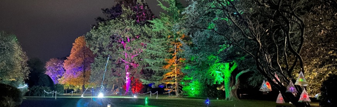 Wellington Garden of Light