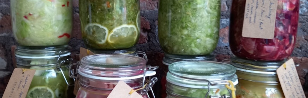 Beginner's Fermentation Workshop