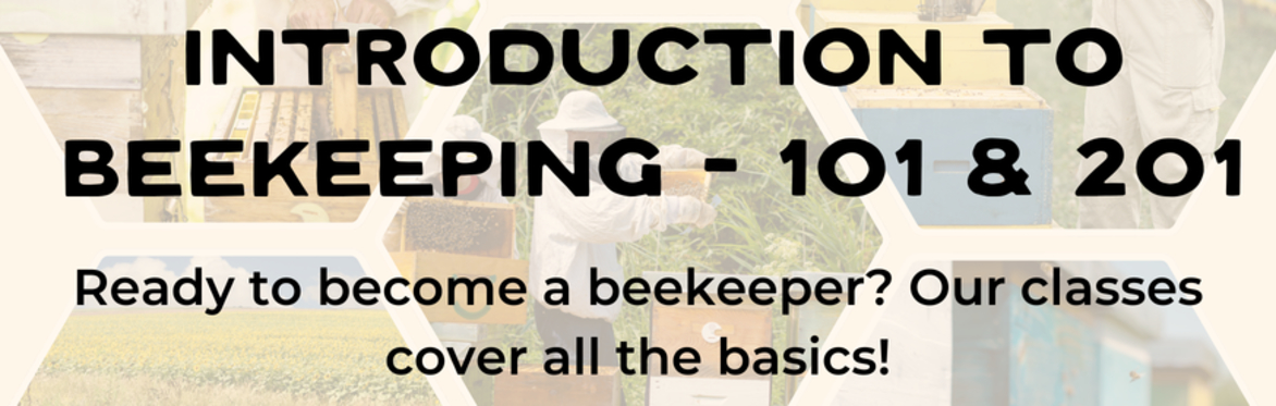 Introduction to Beekeeping: 101 & 201 header image