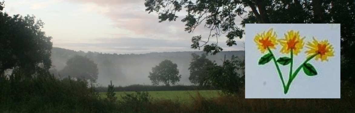 view across to Blackdown hills in early morning mist