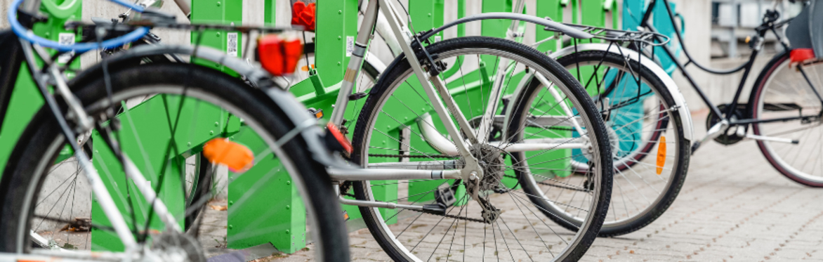Decarbonising transport: Future pathways for behaviour, policy & technology